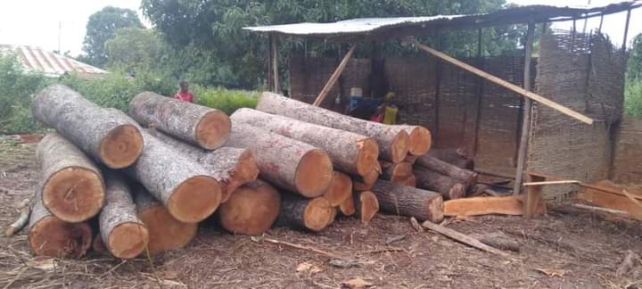 PHOTO 2022 10 18 14 21 40