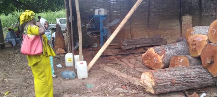 PHOTO 2022 10 18 14 21 41