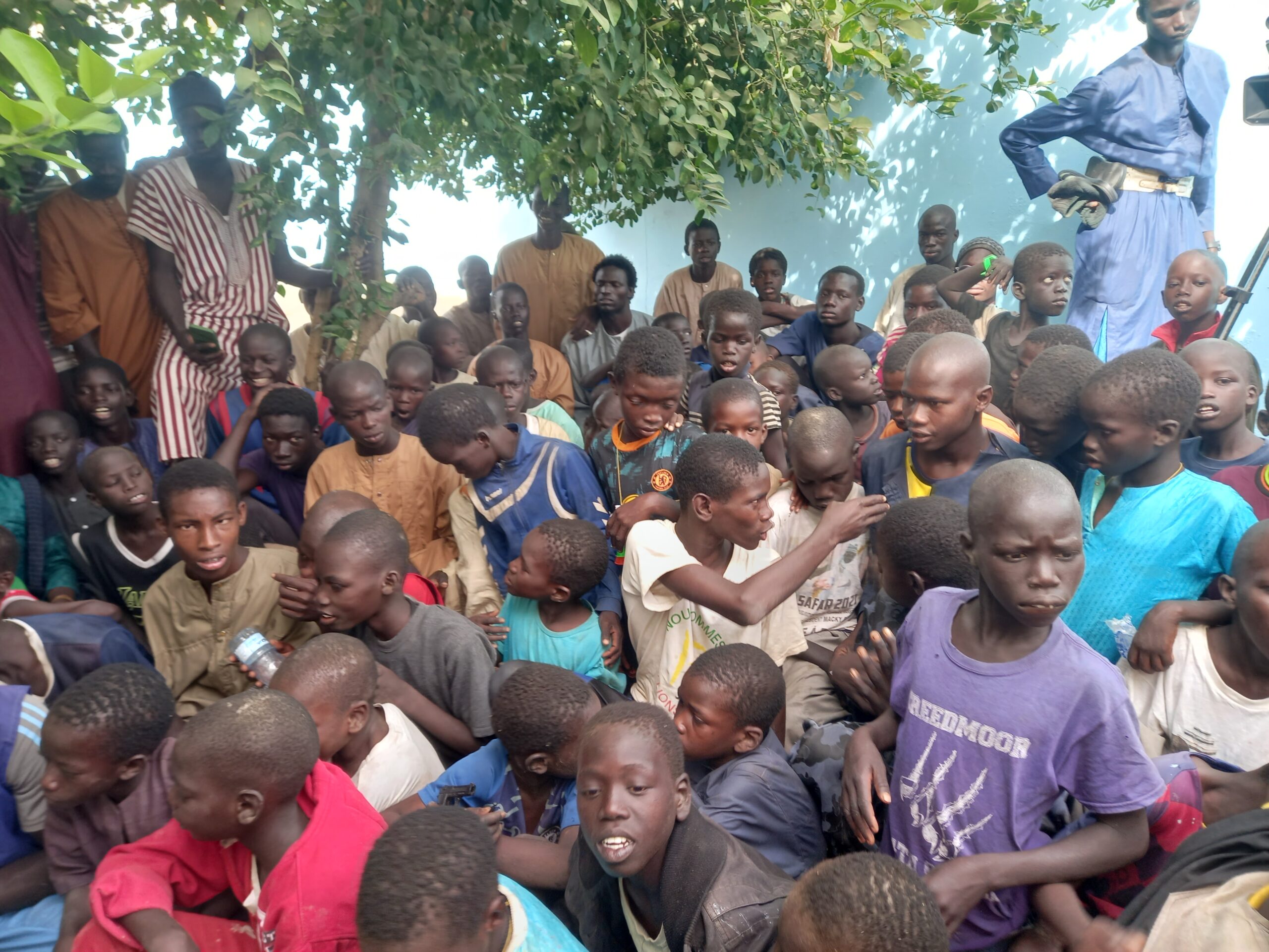 Champs de Lagane : Plus de 400 hectares de mil et d'arachide récoltés 6 20221119 150557 scaled