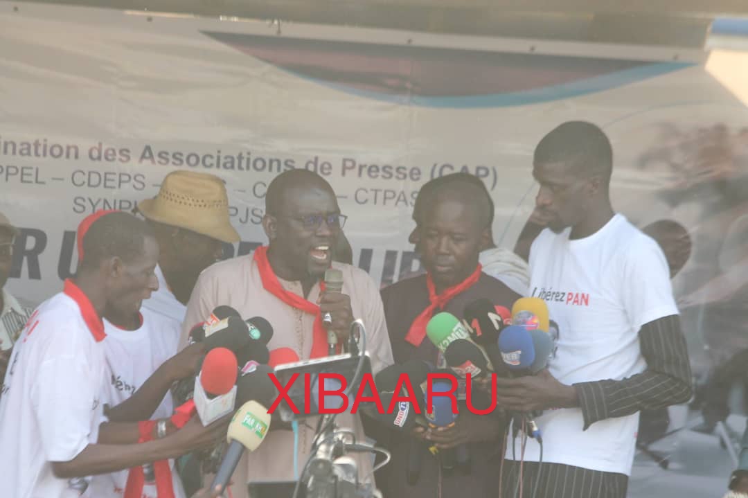 IMG 20221118 WA0076 1