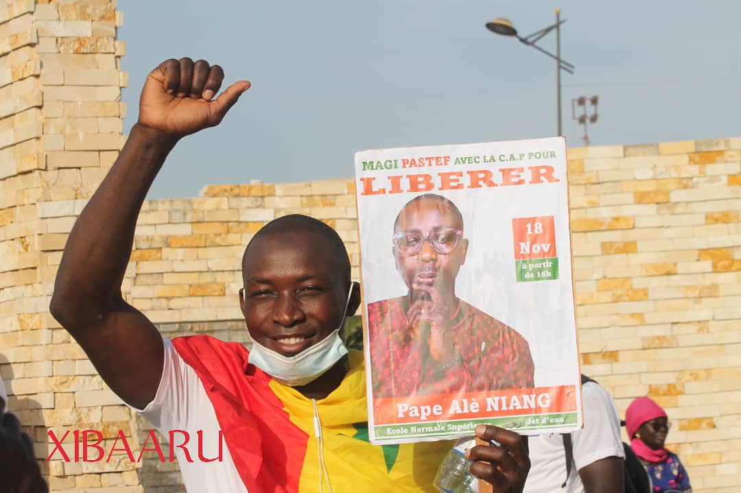 IMG 20221118 WA0080 1