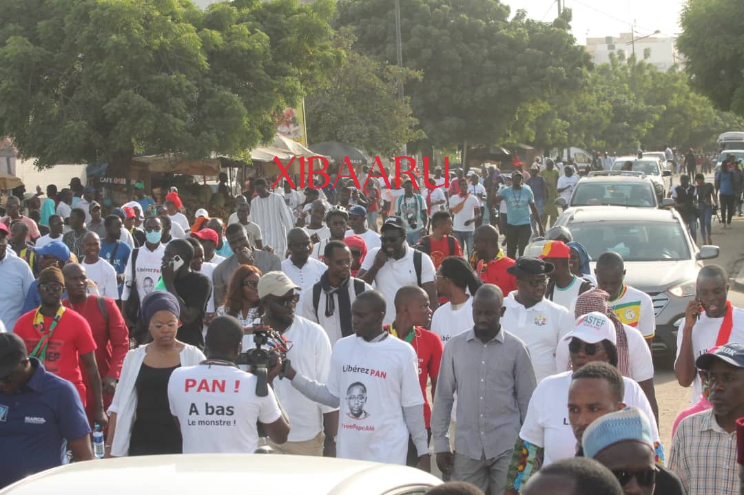 IMG 20221118 WA0082 1