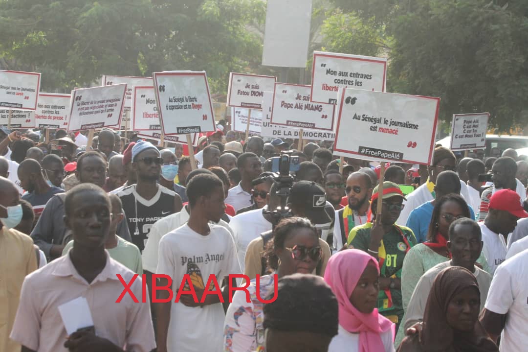 IMG 20221118 WA0083 1