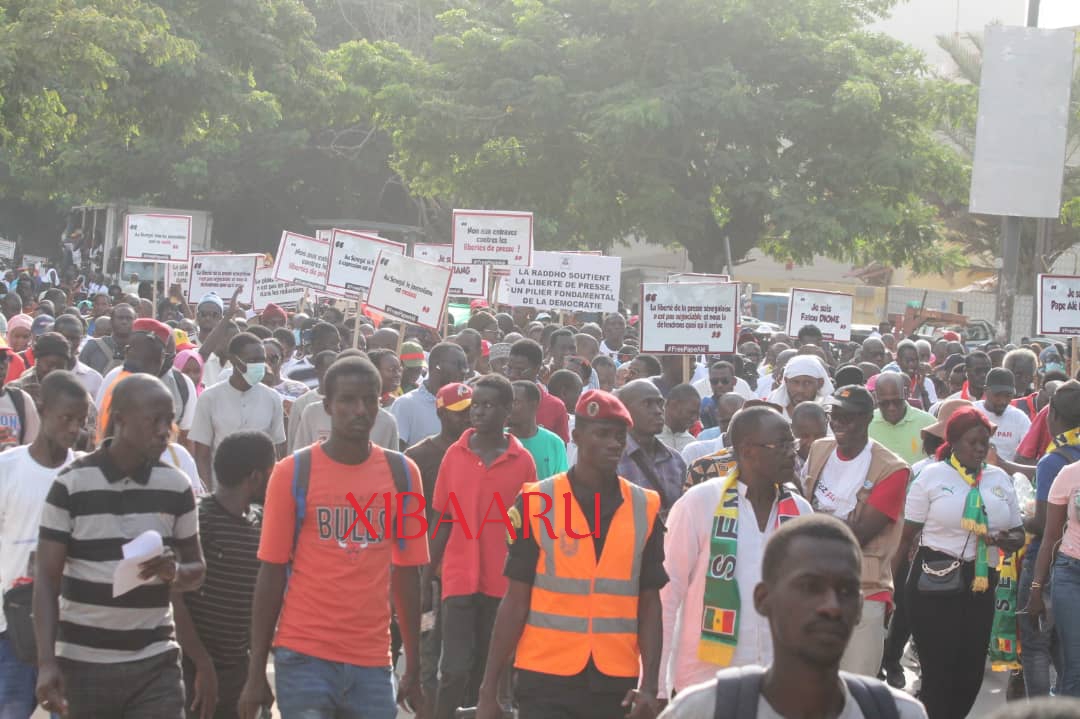 IMG 20221118 WA0085 1