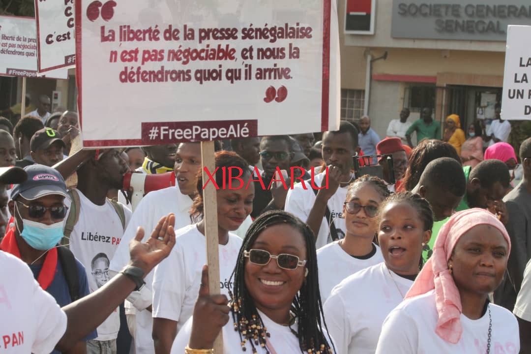 IMG 20221118 WA0087 1