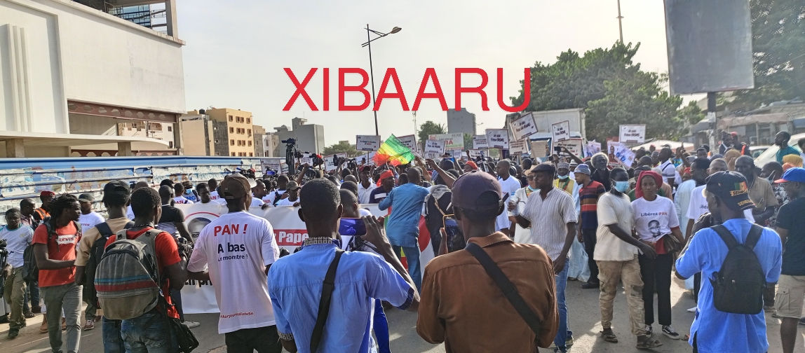 IMG 20221118 163800 376