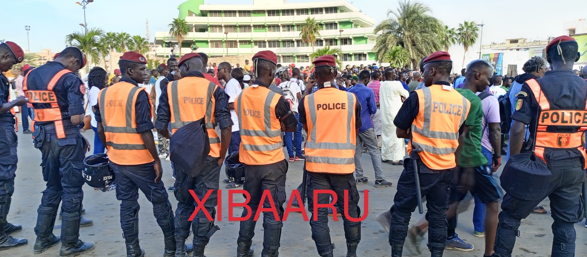 IMG 20221118 172726 784