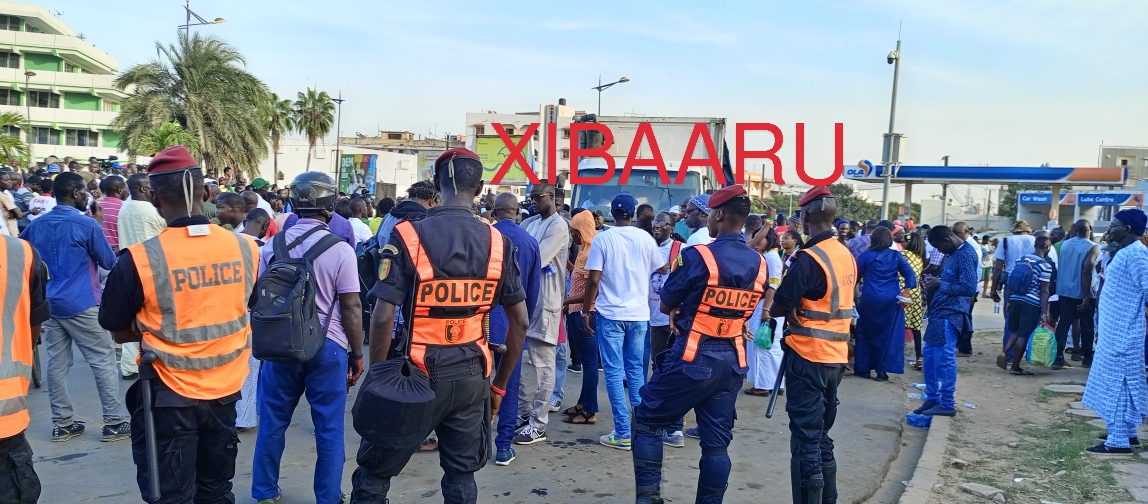 IMG 20221118 172737 976