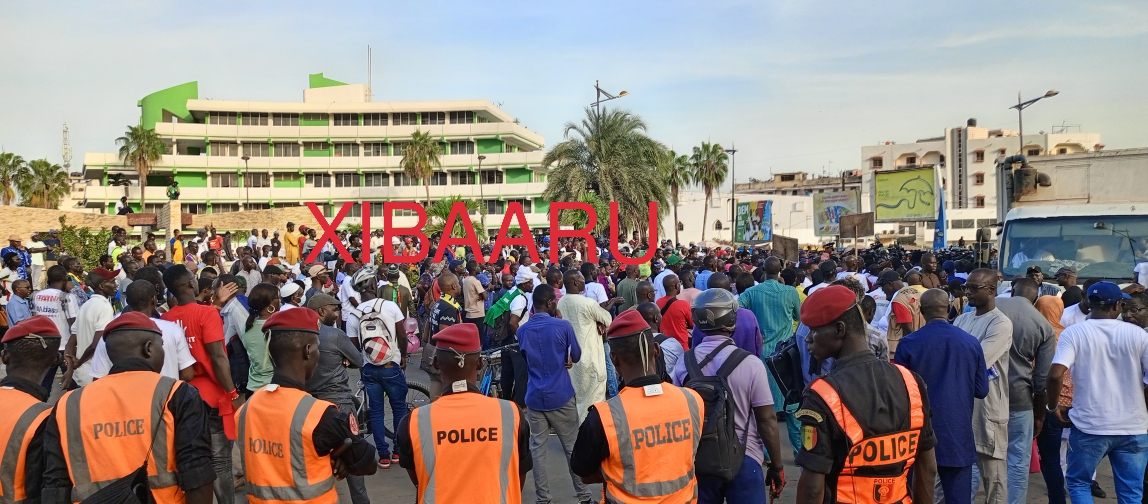 IMG 20221118 172752 753