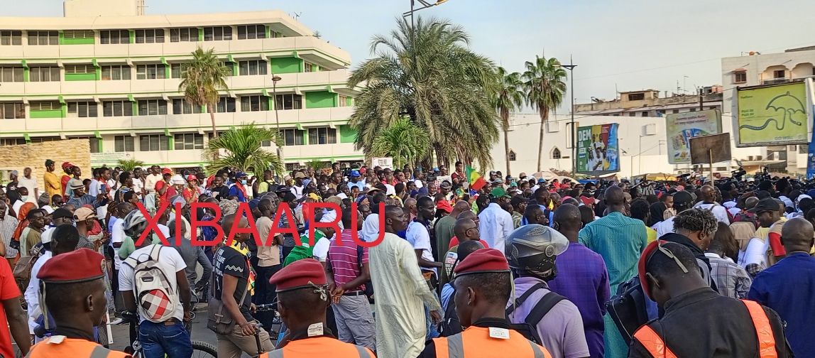 IMG 20221118 172800 511