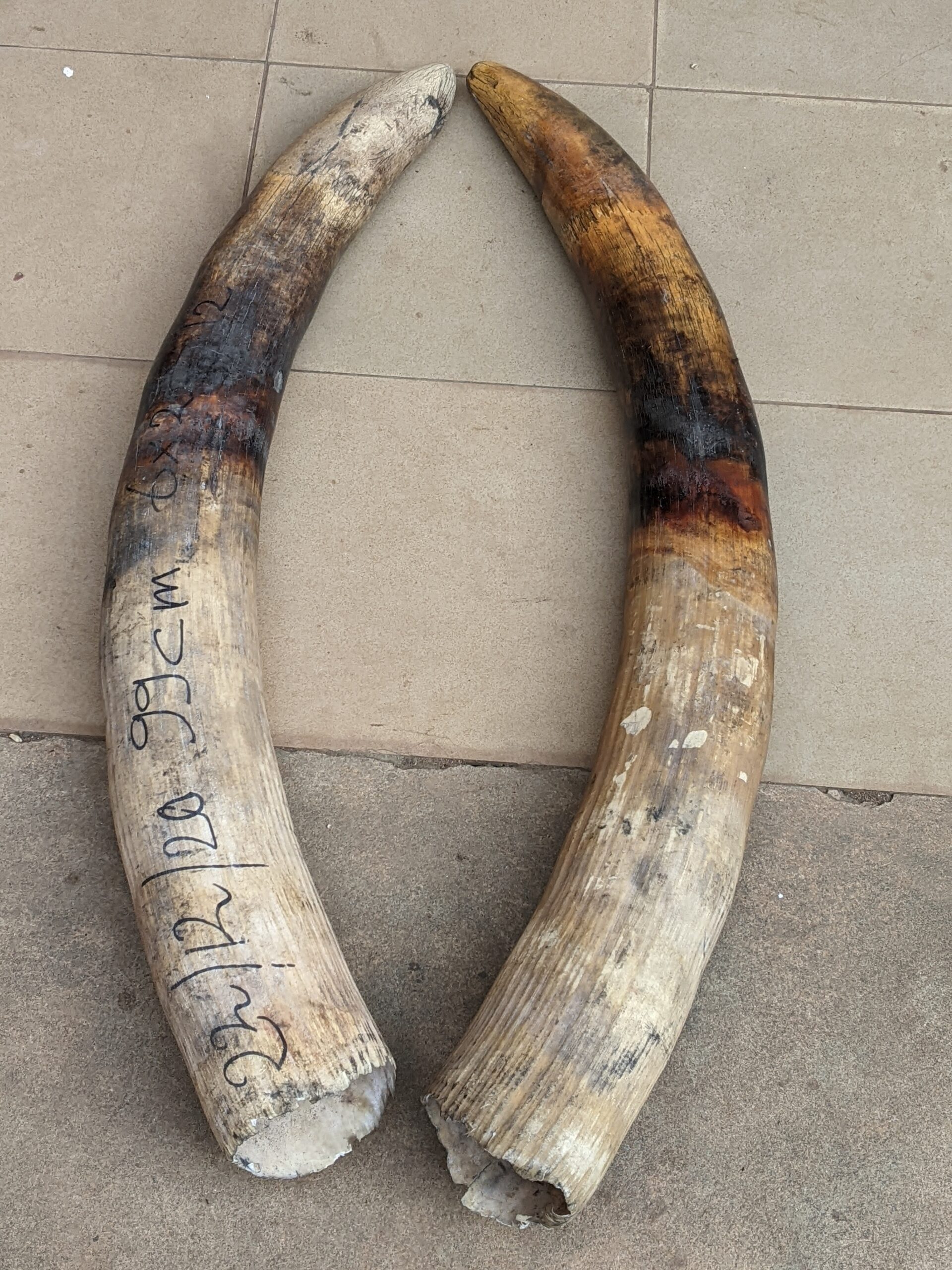 PRODUITS SAISIS 12 NOV 2022 scaled