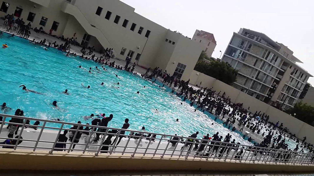 piscine olympique