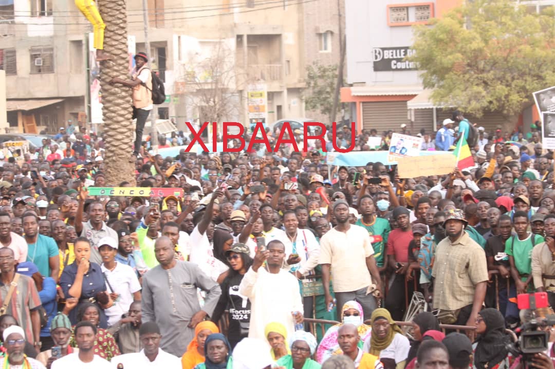 IMG 20221230 WA0047 1