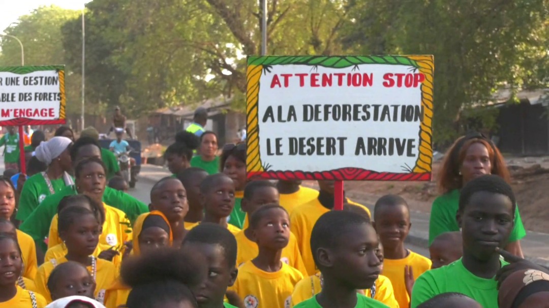 Bignona : Le relais des jeunes porte le combat de la préservation des forêts 19 Bignona : Le relais des jeunes porte le combat de la préservation des forêts
