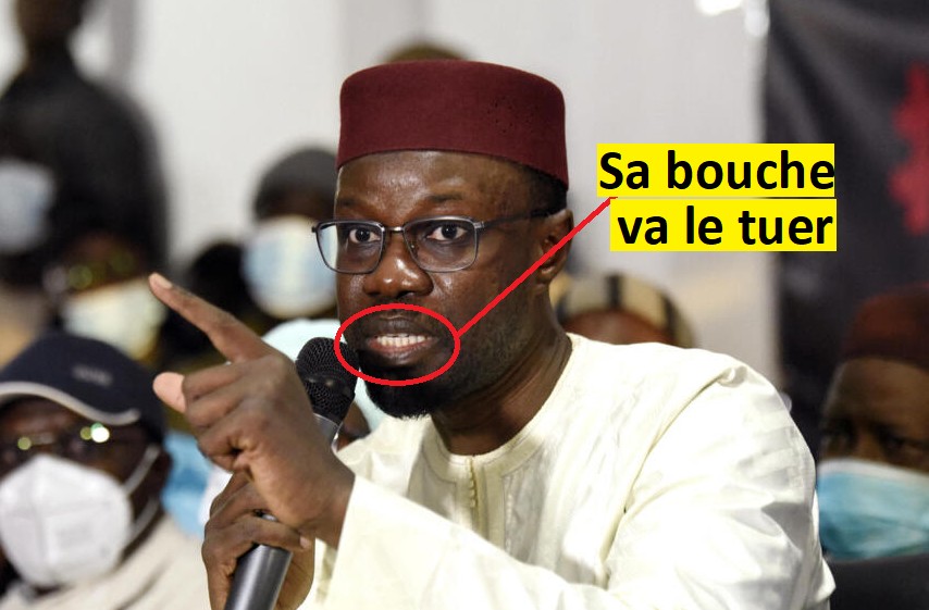 Sonko voulait le buzz...il tombe dans dans la gueule du loup 1 sonko