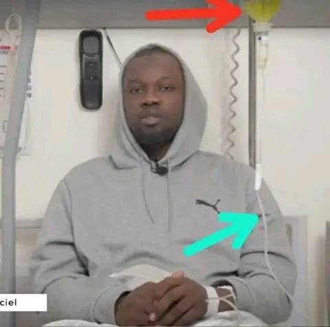 336477942 188843447224240 7517632362852341009 n