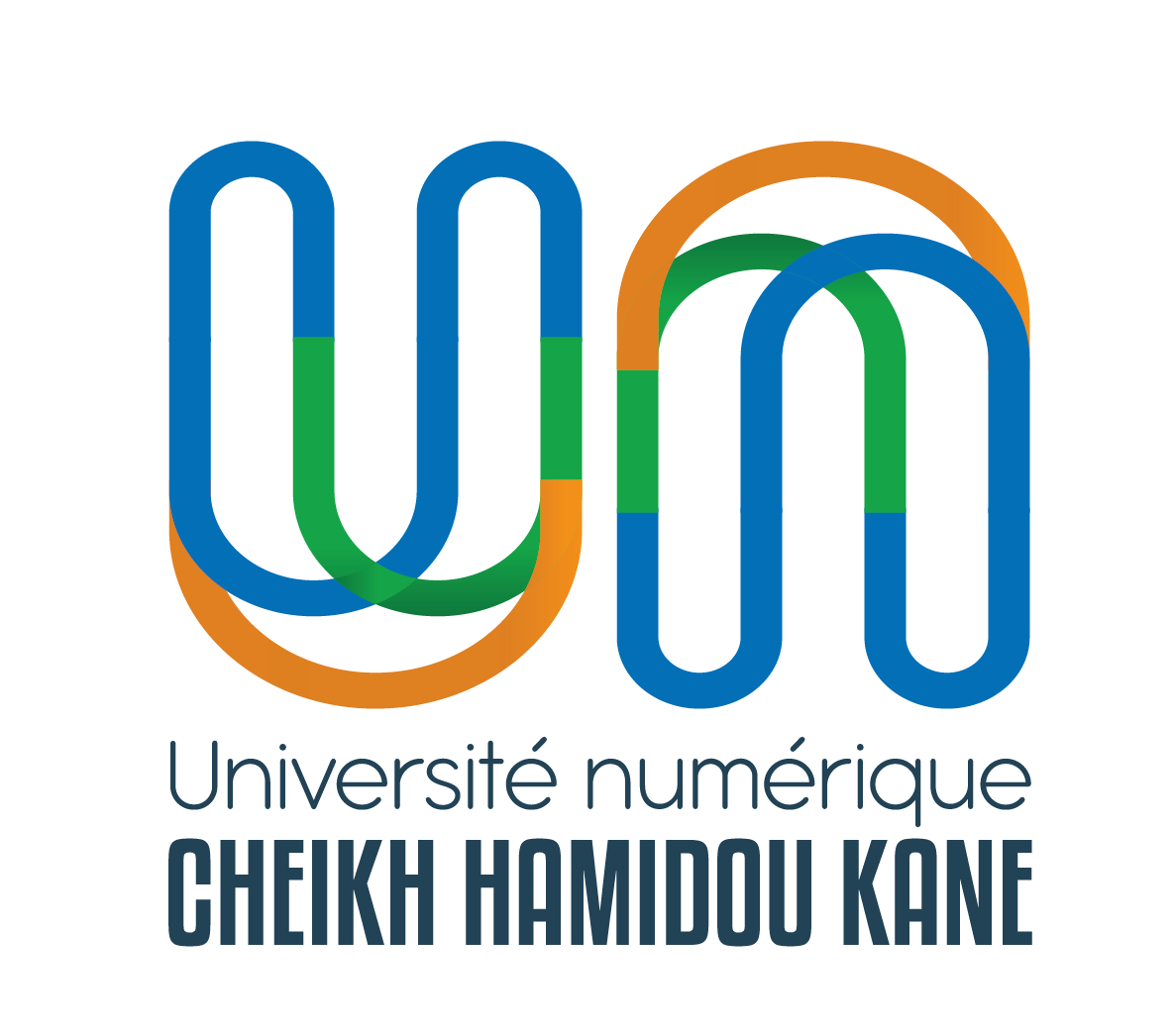Nouveau logo Universite numerique Cheikh Hamidou KANE
