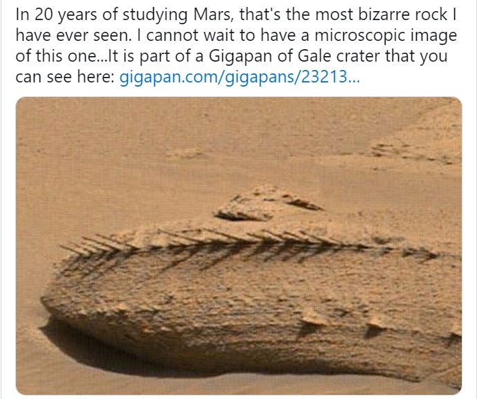 Mars : un serpent photographié à la surface de la planète rouge 1 mar