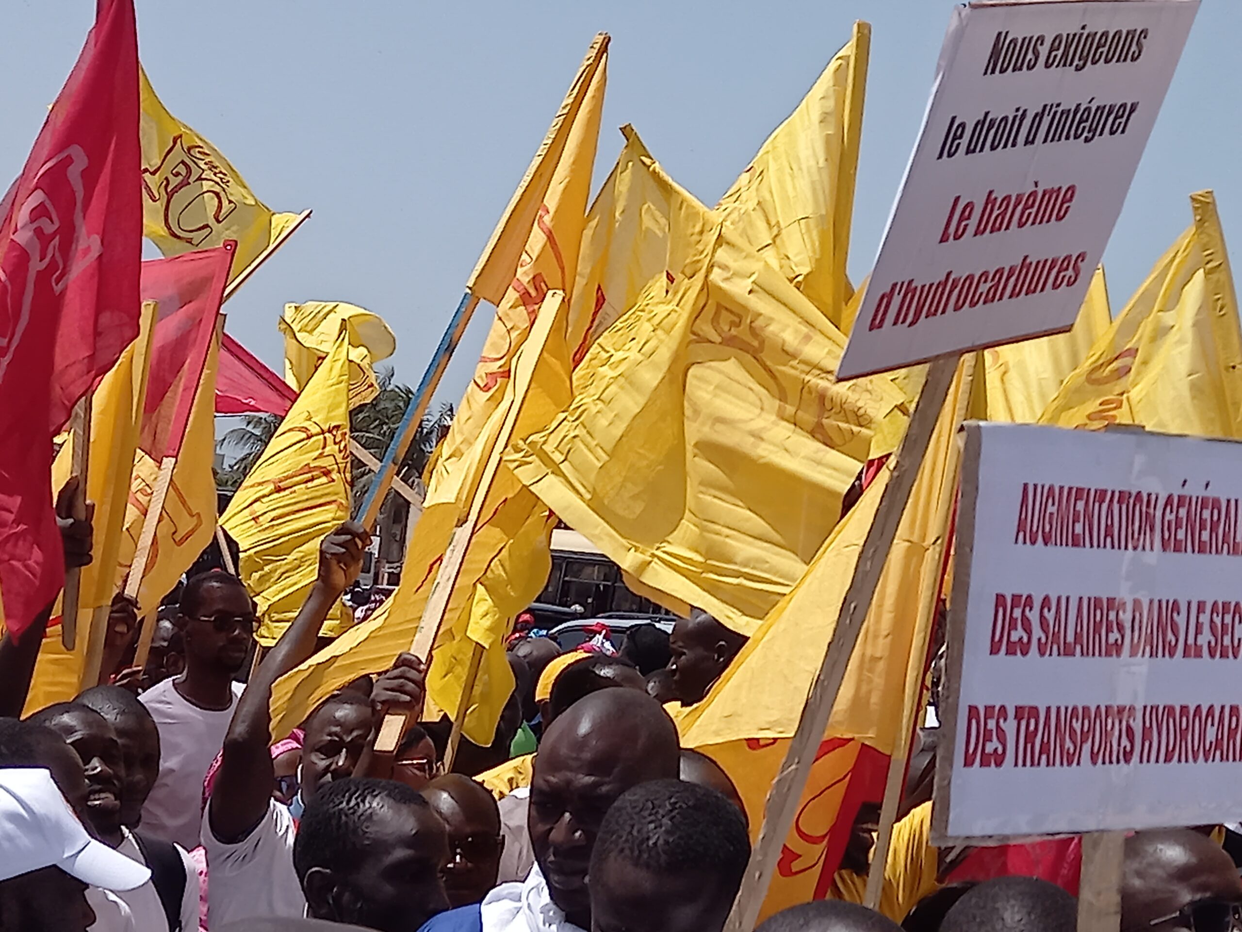 20230501 112719 scaled