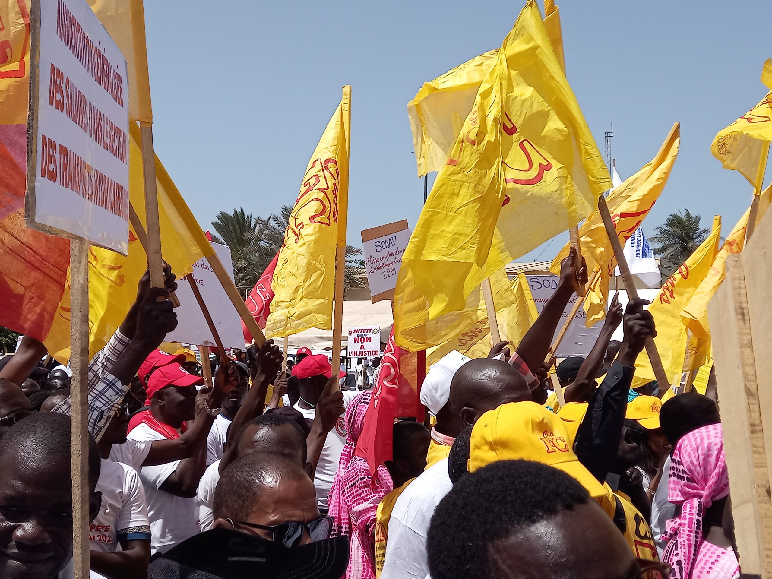 20230501 112736 scaled