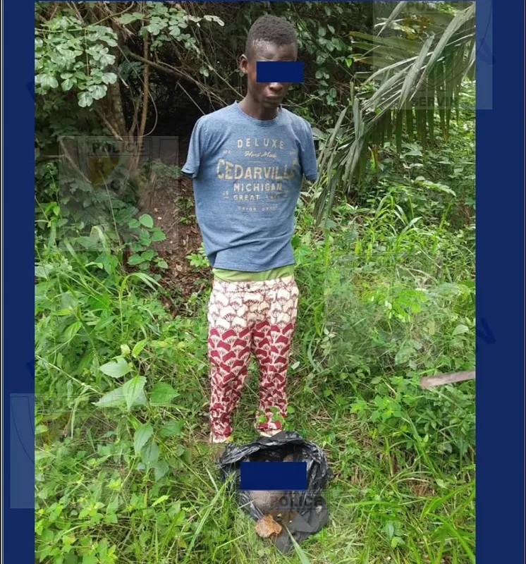 Côte d'Ivoire : il décapite son neveu sur ordre du...féticheur 1 décapite