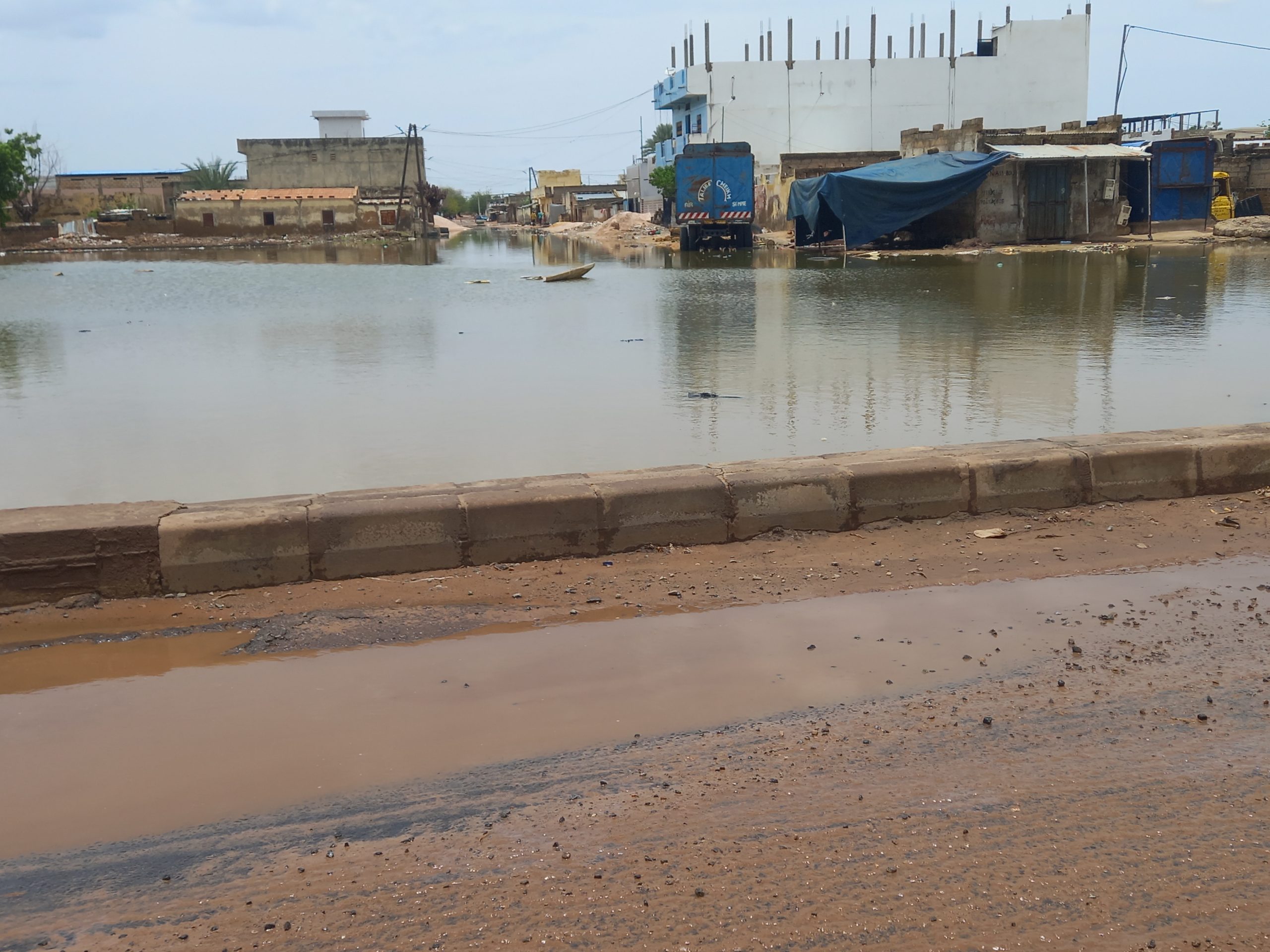 20230815 132054 scaled