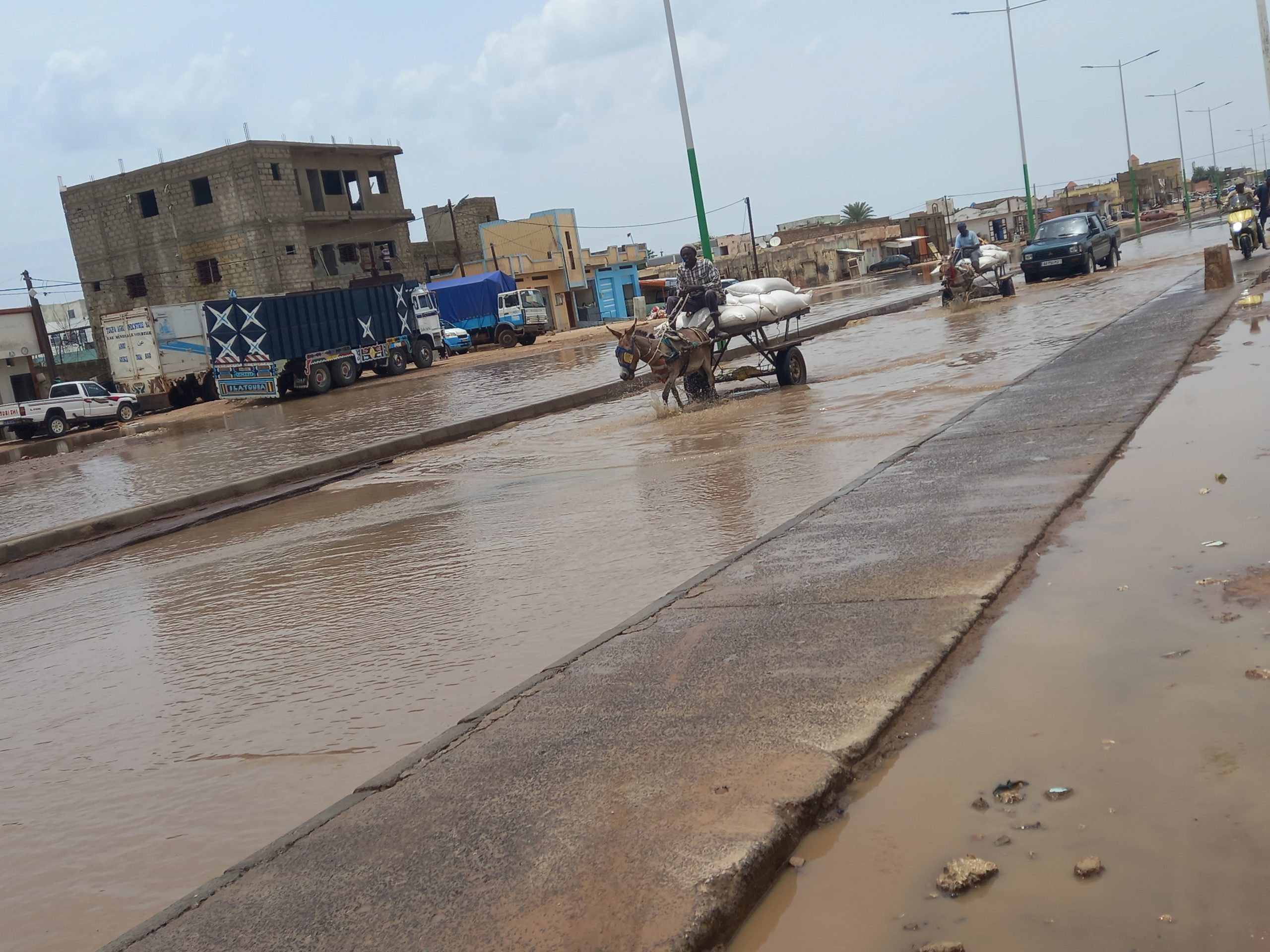 20230815 132632 scaled