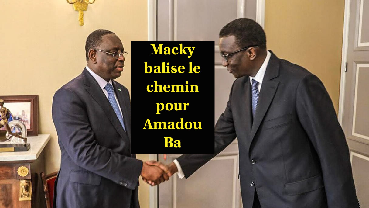 amadou