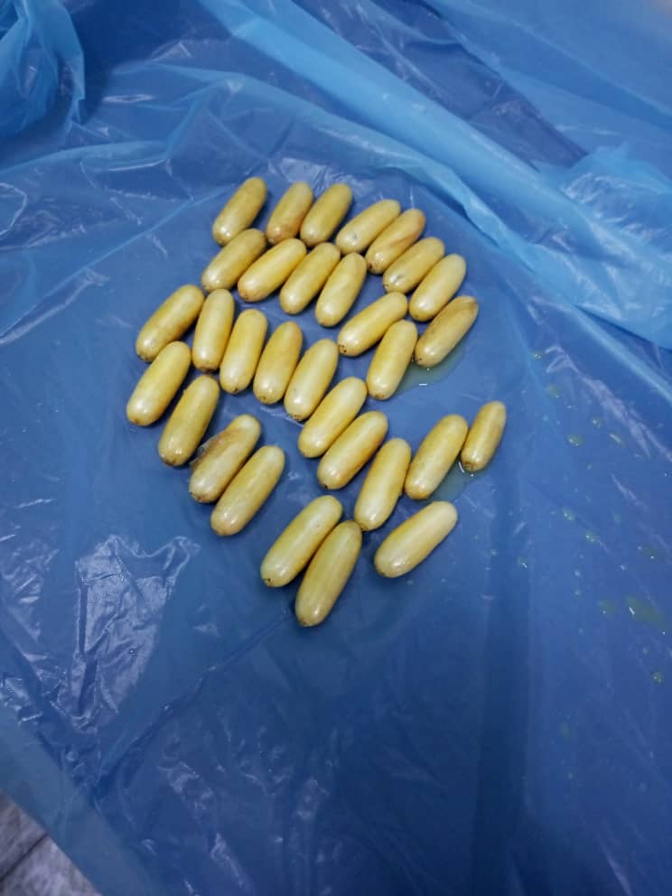 WhatsApp Image 2023 11 14 at 18.14.42 1