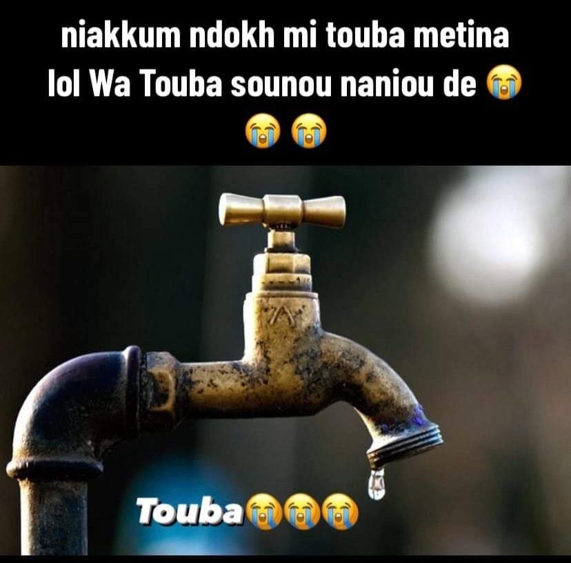 FB IMG 1708457959806 e1708518535581