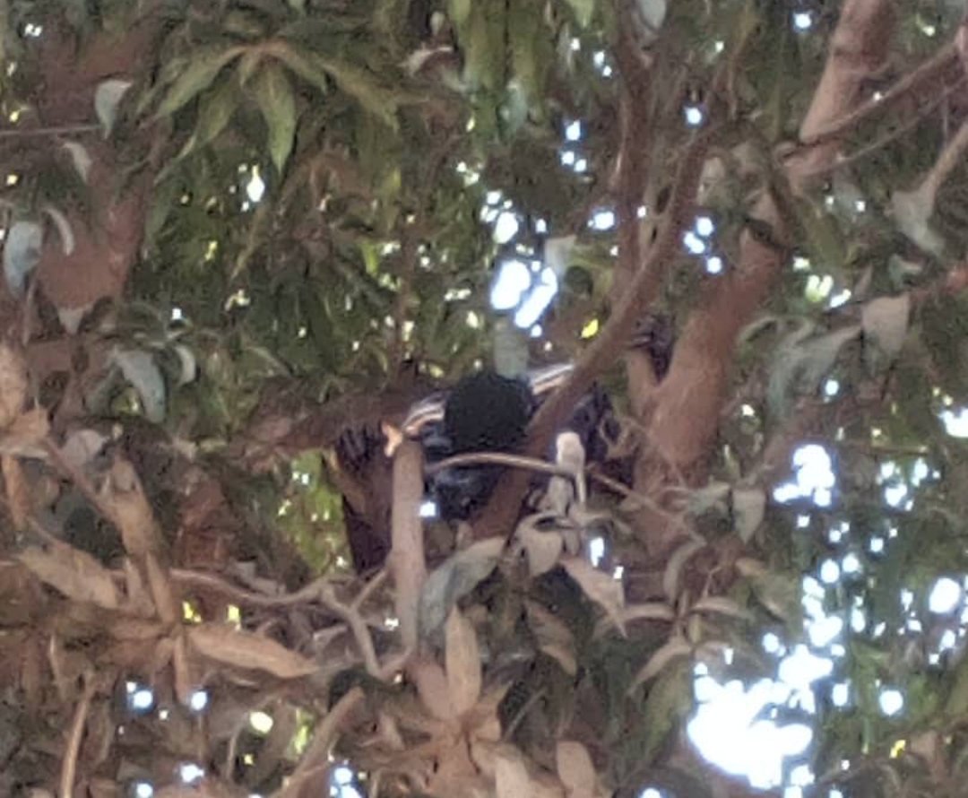 Screenshot 20240225 214215