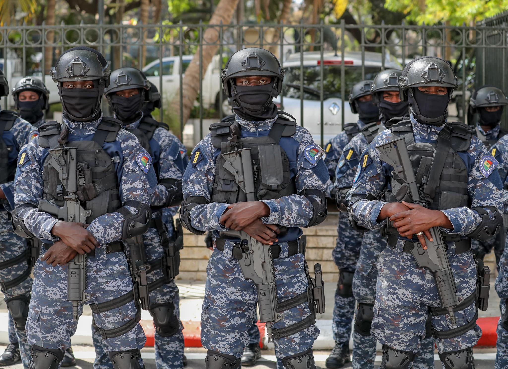 429560772 812065240955050 2523187574539985538 n