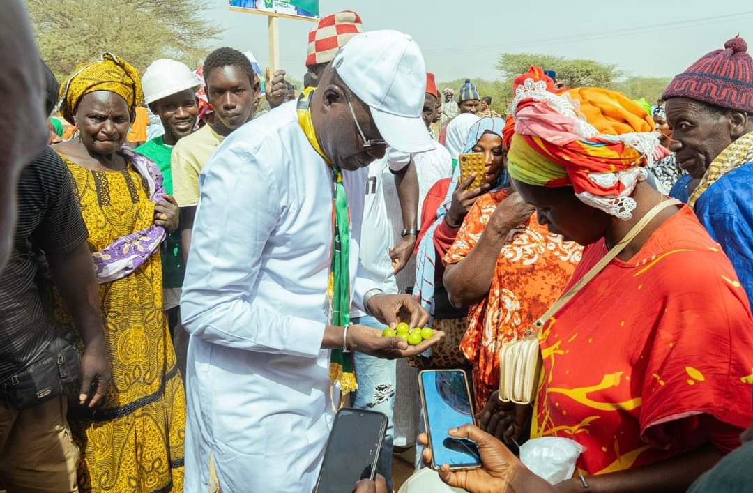 FB IMG 1709891085755