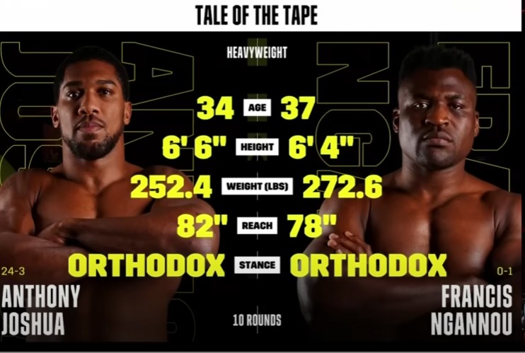 BOXE : Francis Ngannou K.O. au 2ème round face à...(vidéo) 1 ngannou