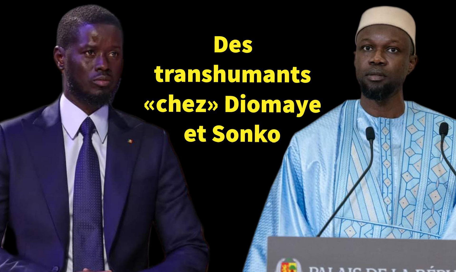Sonko obtient sa majorité...où va-t-il loger les transhumants ? 2 sonko