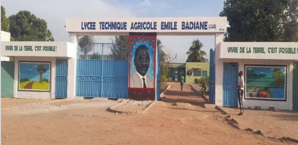 Bignona : Les apprenants du lycée agricole réclament des arriérés de bourse 2 Bignona : Les apprenants du lycée agricole réclament des arriérés de bourse