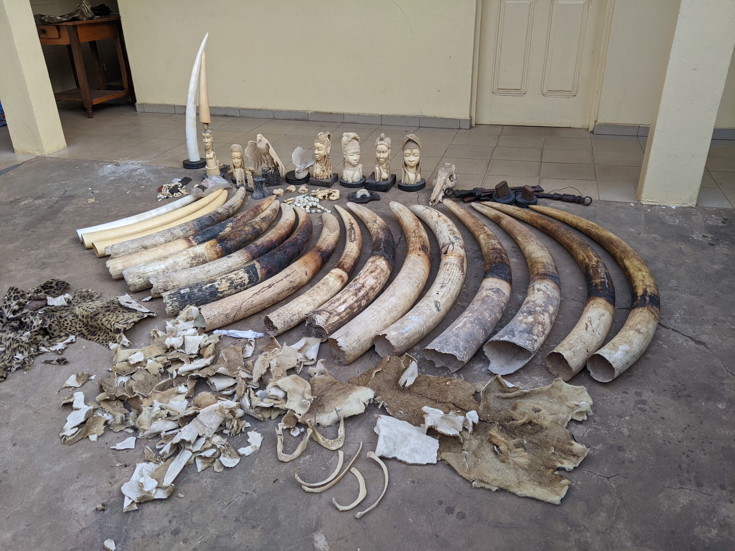 photo EAGLE Togo scaled