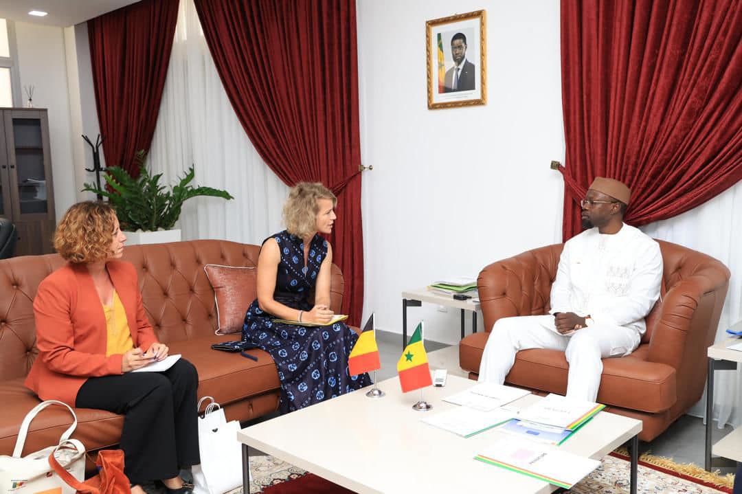 449024638 3075121375975111 8100231919232885318 n