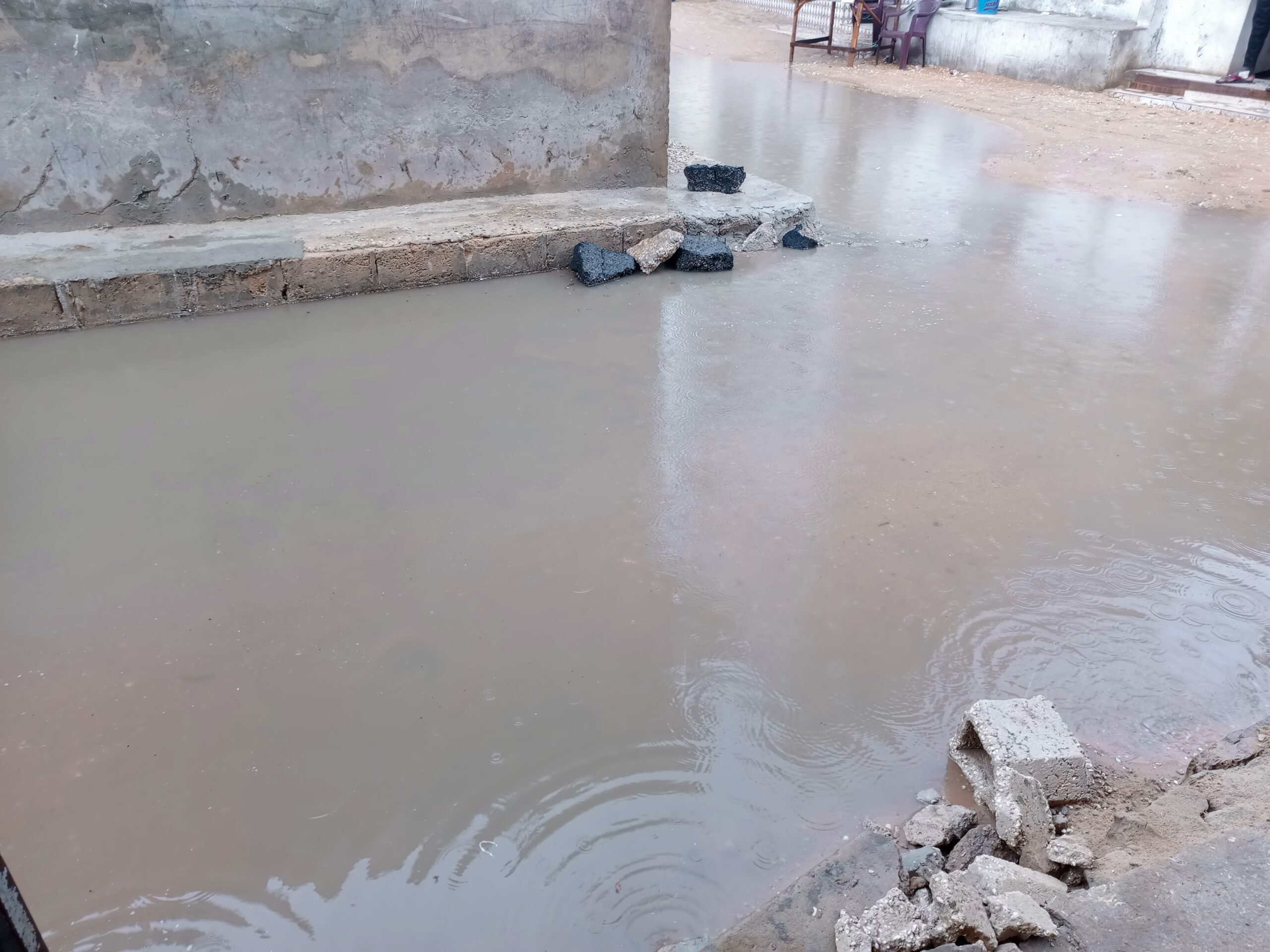 IMG 20240707 123658 761 scaled