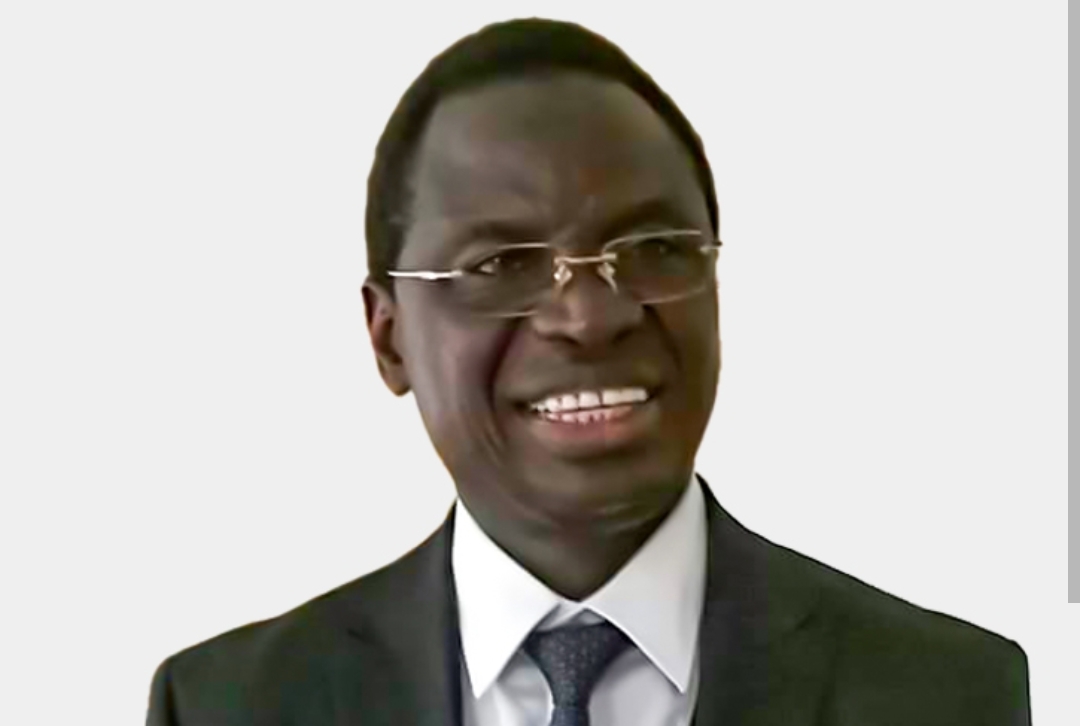 Serigne Guèye Diop sur le directeur des Agropoles : « Il n’a pas été performant » 5 Serigne Guèye Diop sur le directeur des Agropoles : « Il n’a pas été performant »