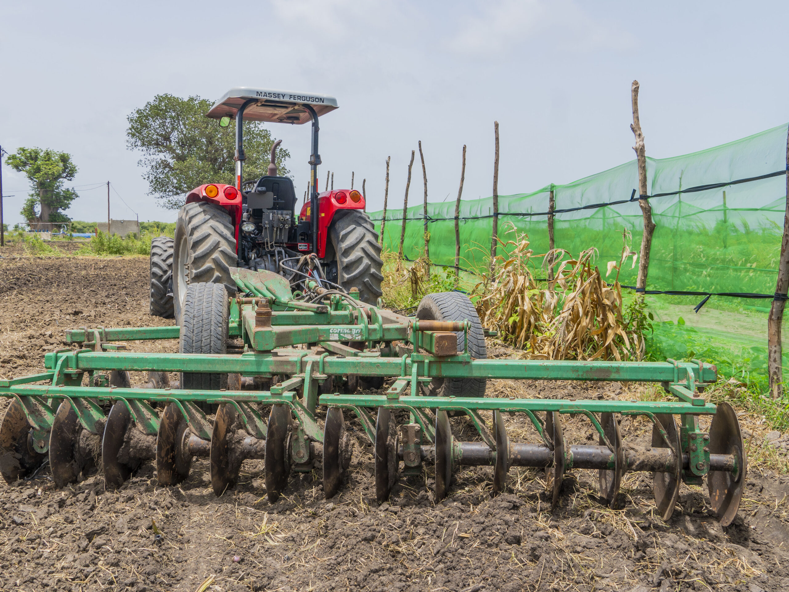 image 123650291 10 scaled