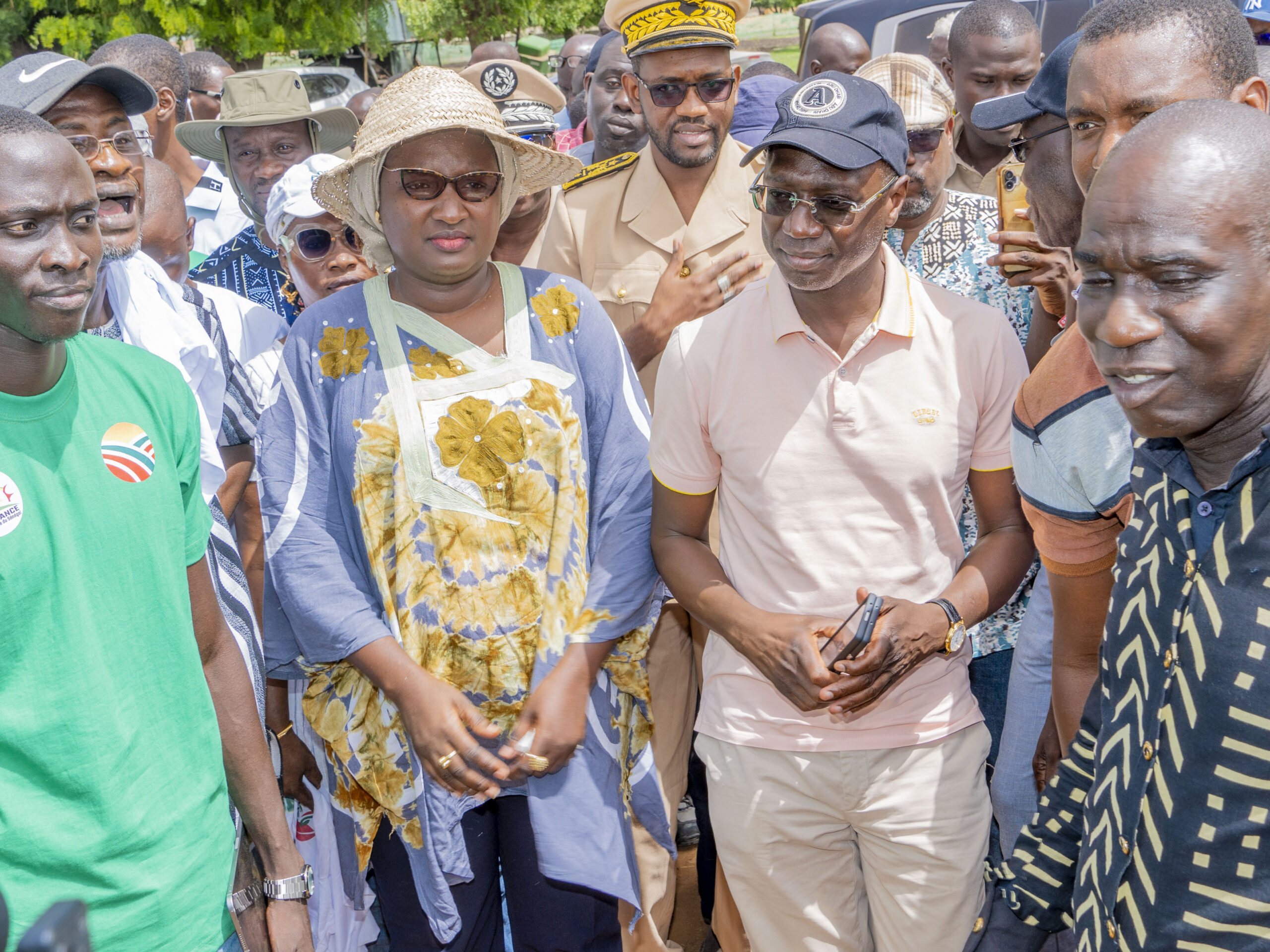 image 123650291 7 scaled