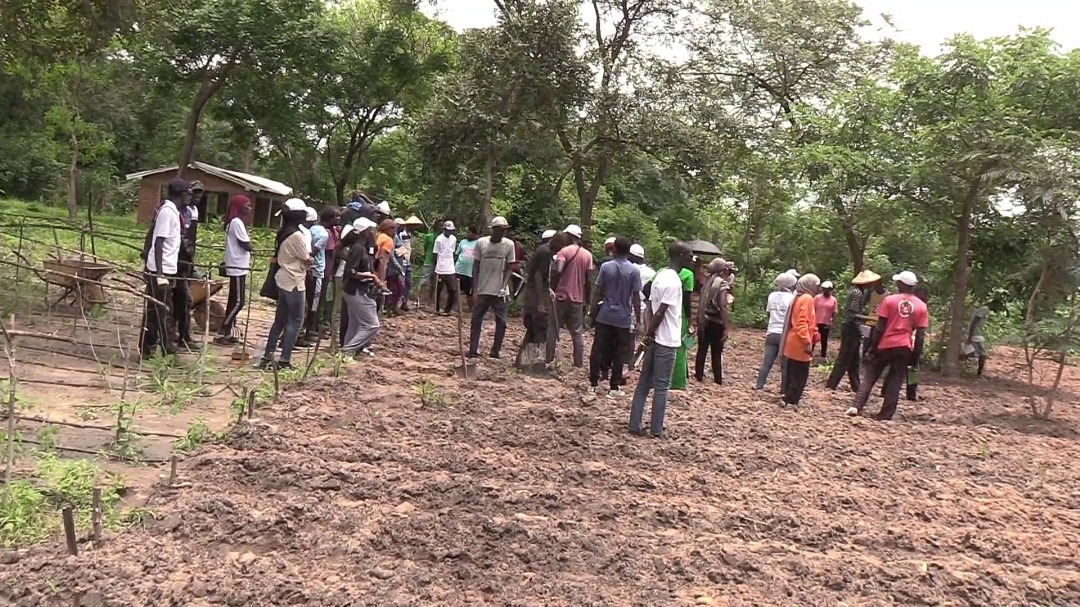 Bignona : Des étudiants de l’USSEIN en voyage d’étude à la ferme ECO FROM AFRICA 21 Bignona : Des étudiants de l’USSEIN en voyage d’étude à la ferme ECO FROM AFRICA