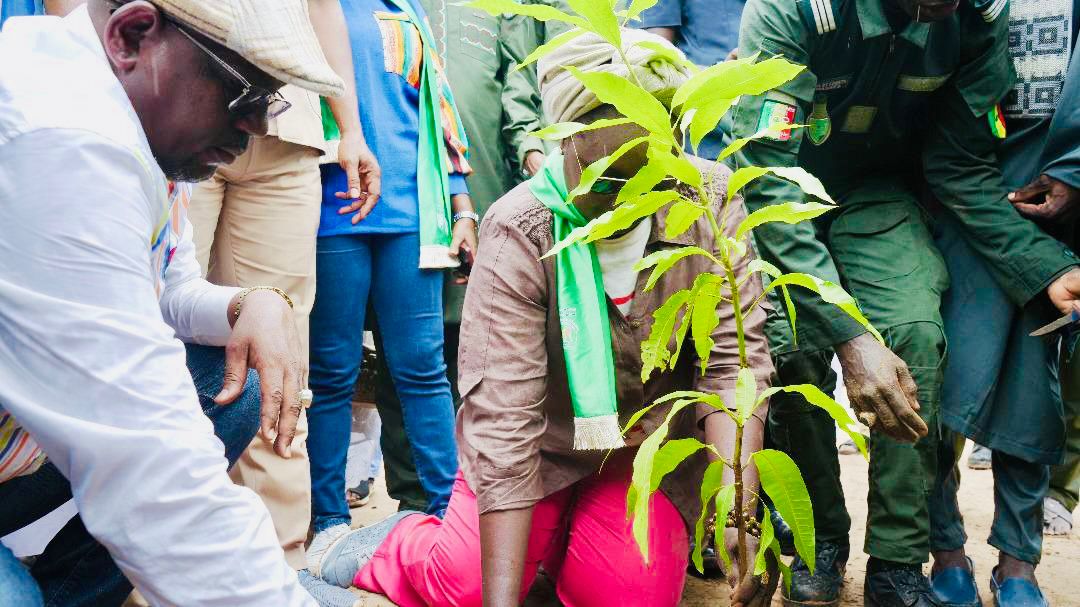 Le ministre Khady Diène Gaye célèbre la journée de l'arbre à Ndiédieng (photos) 12 WhatsApp Image 2024 08 04 a 22.48.35 31cb4ac8