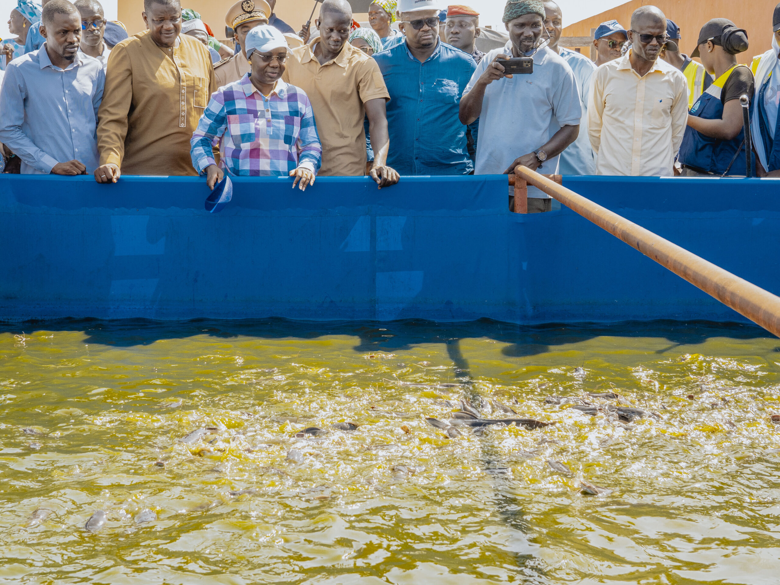 image 123650291 13 scaled