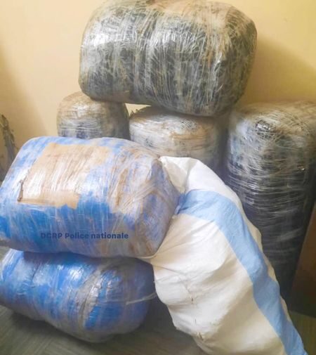 465911910 1088677462653584 1138423396946914780 n e1731062081135