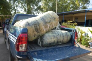 467719414 122159921318050392 6223080588533033040 n