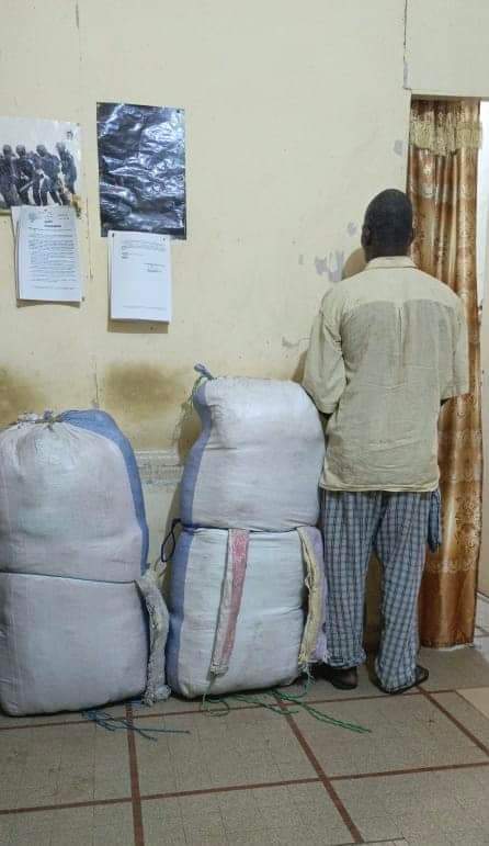 FB IMG 1730646333485