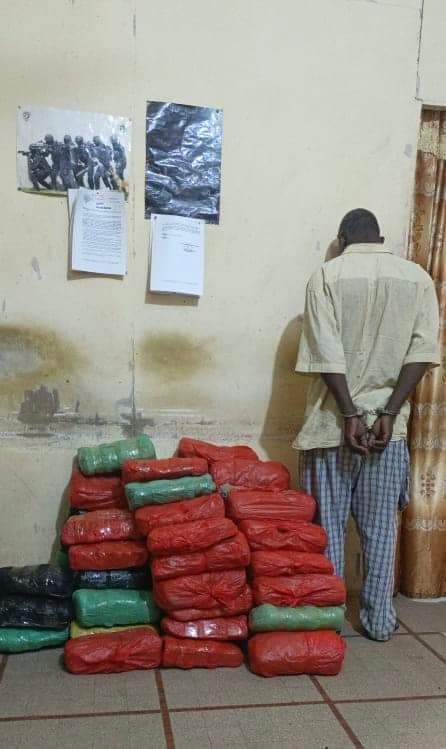 FB IMG 1730646335746