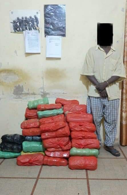 FB IMG 1730646337901